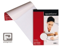 Meer informatie over SCHRIJFBLOK QUANTORE A5 RUIT 5MM 60GR
